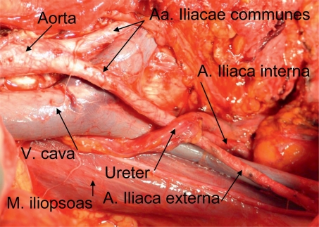 Figure 2: