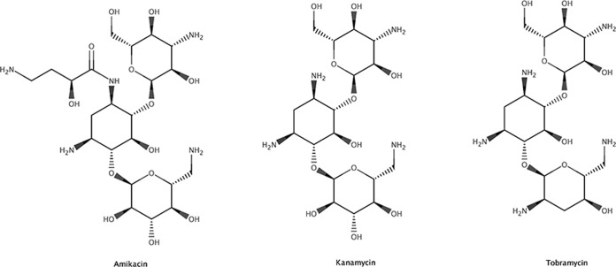 FIG 1