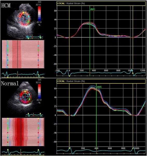 Fig. 2