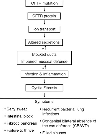 Fig. 3.2