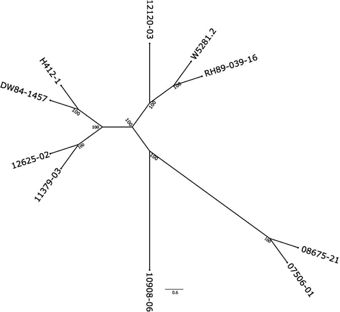 FIGURE 3