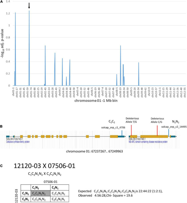 FIGURE 6