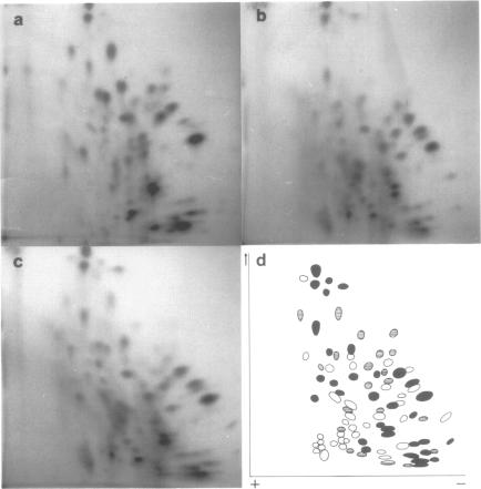 Fig.6.