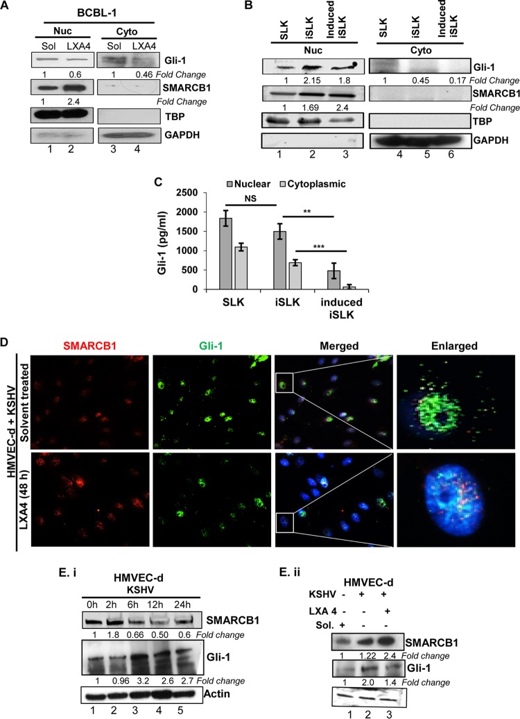 FIG 6