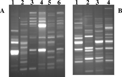 FIG. 6.