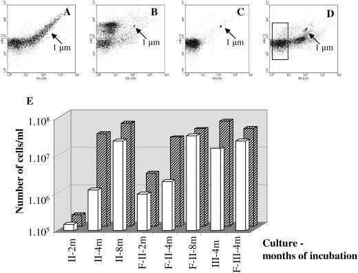 FIG. 4.