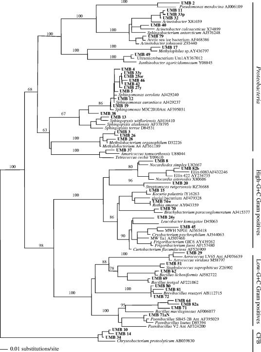 FIG. 8.