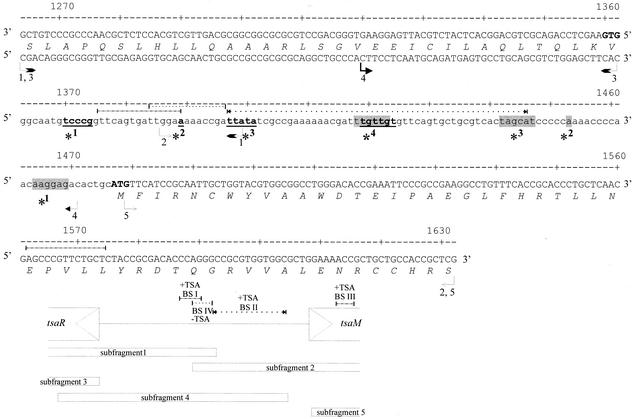 FIG. 5.