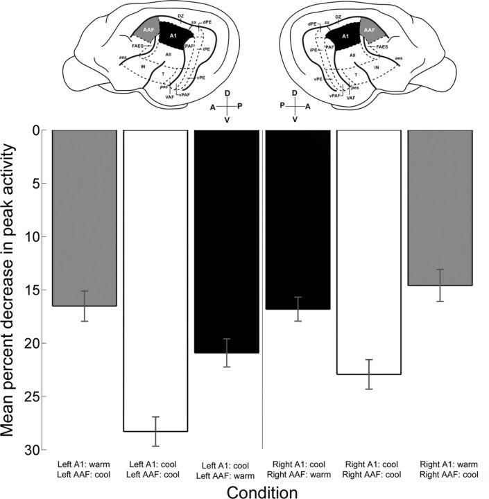 Figure 13.