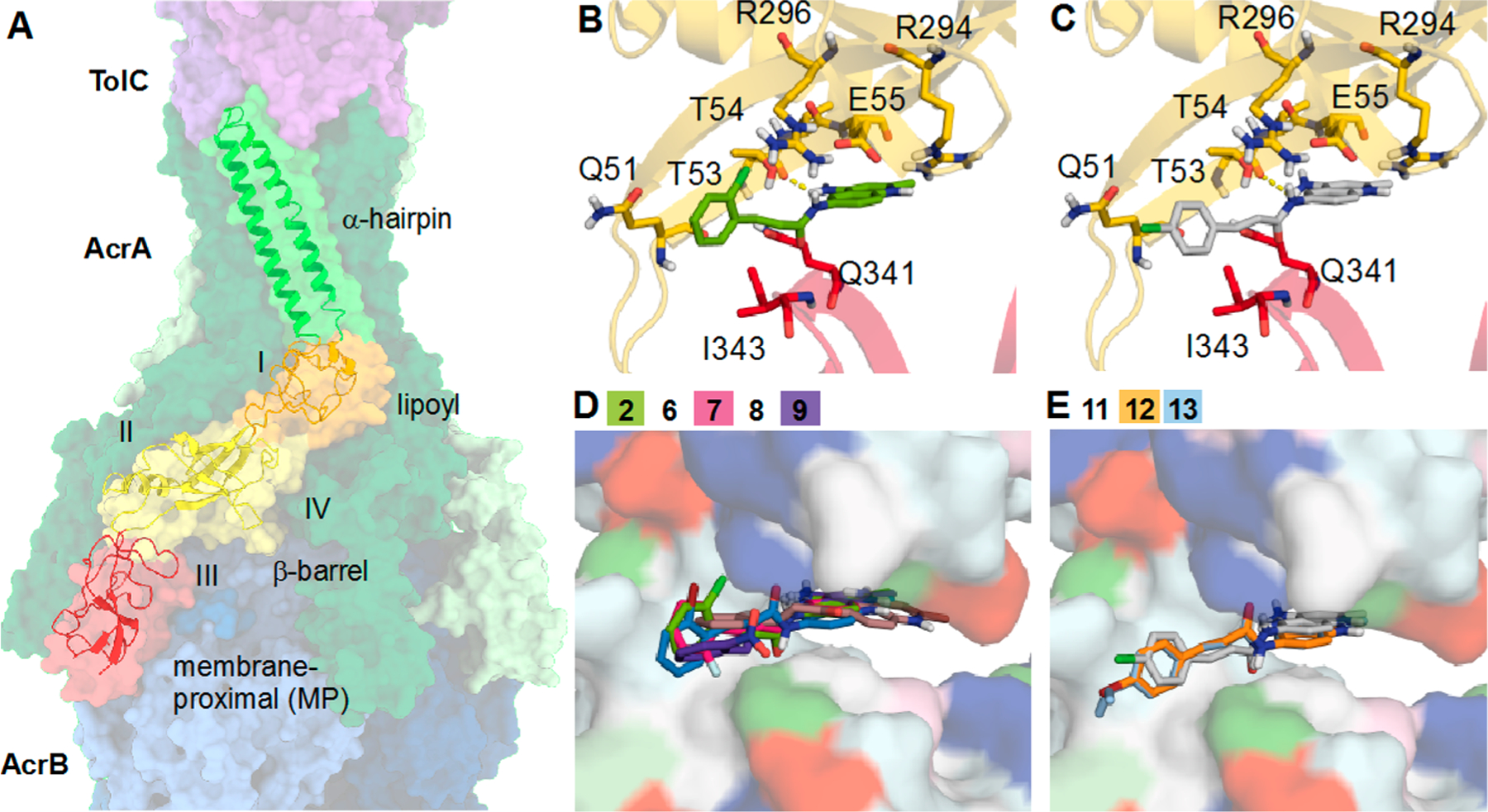 Figure 4.