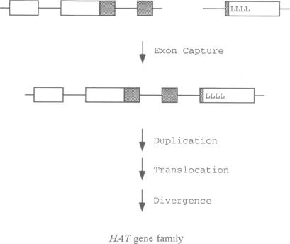 graphic file with name pnas01140-0099-a.jpg