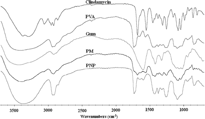 Fig. 8