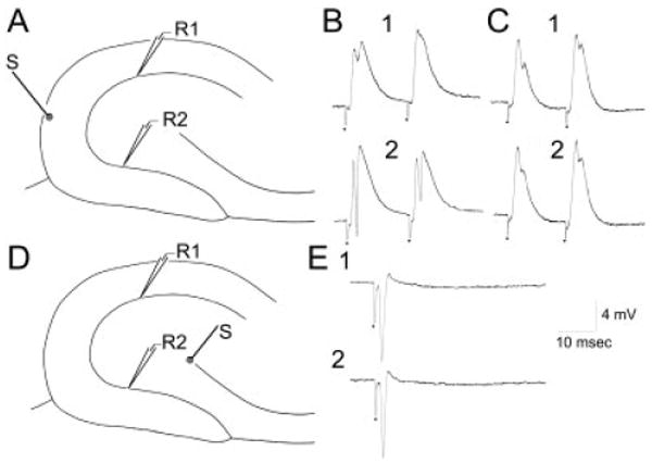 Fig. 10