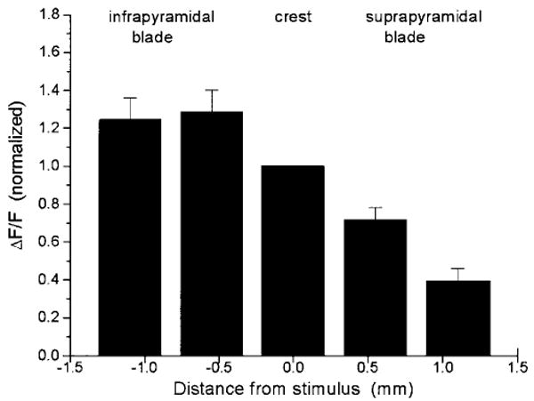 Fig. 13