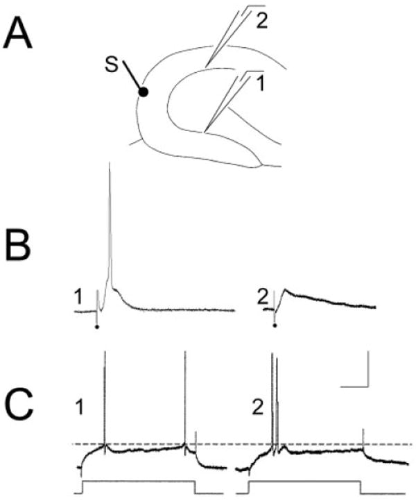 Fig. 11