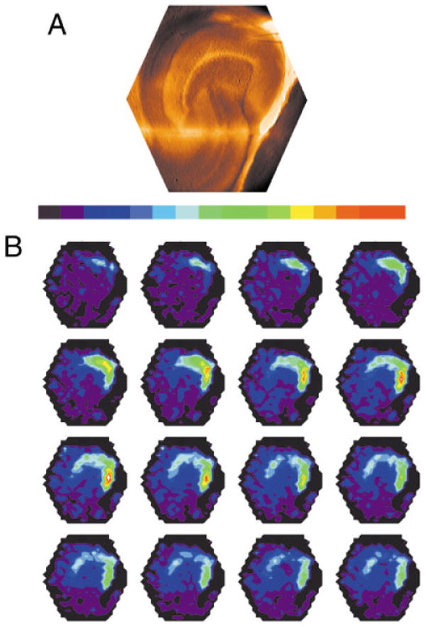 Fig. 12