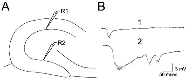 Fig. 9