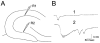 Fig. 9