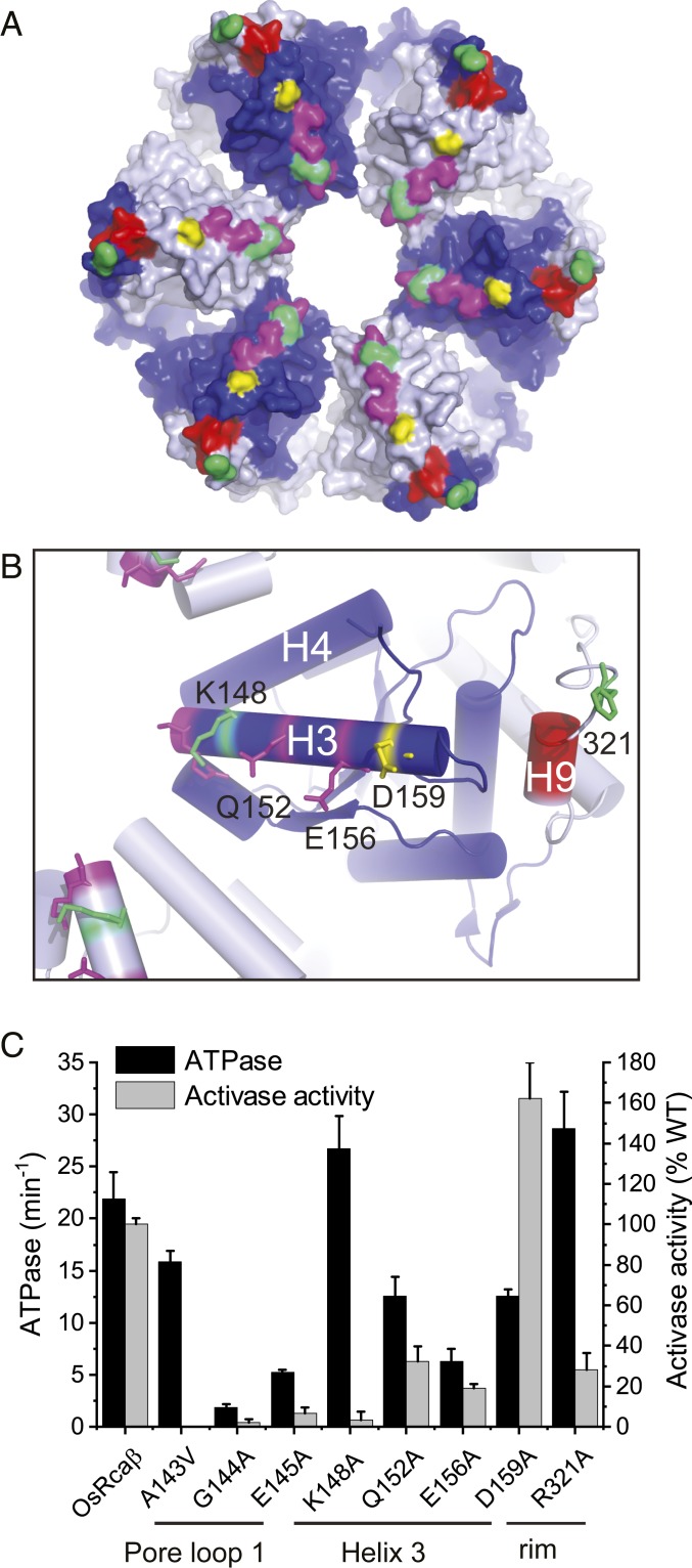 Fig. 2.