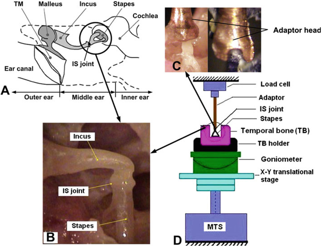 Fig. 1