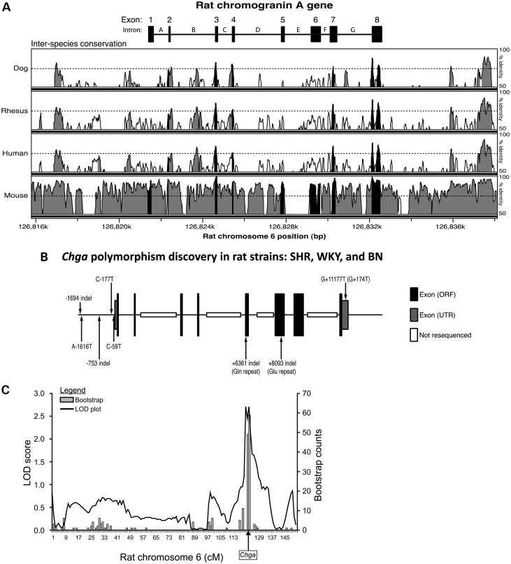 Figure 2.