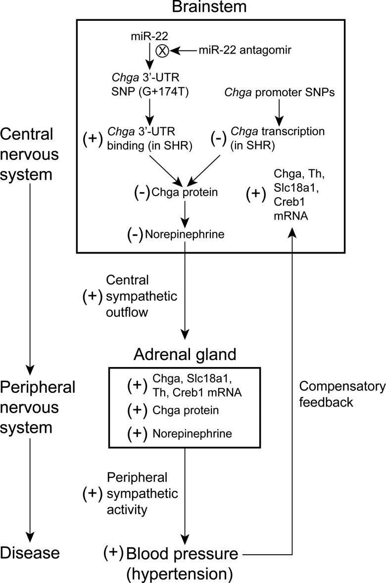 Figure 7.