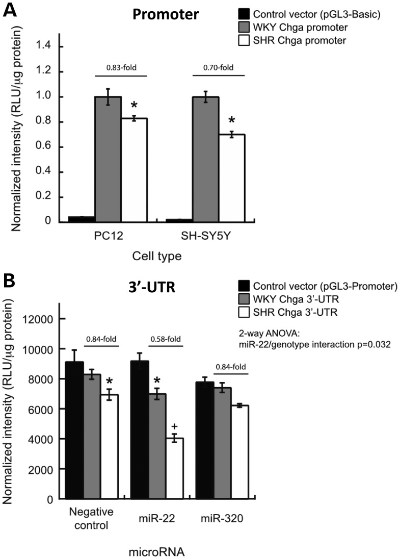 Figure 3.