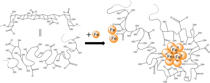 Fig 6