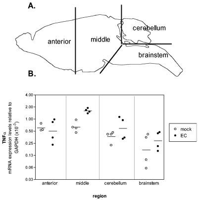 FIG. 5.