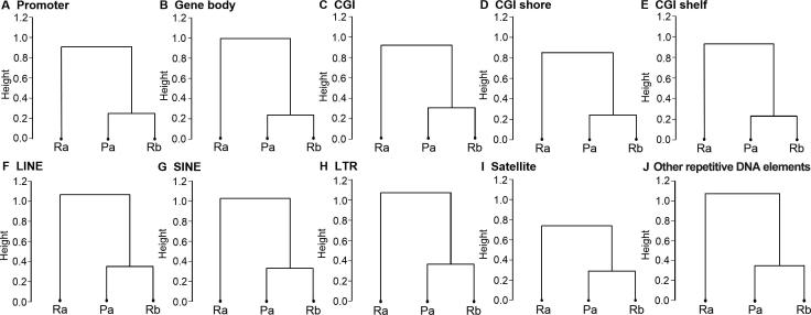 Supplementary Figure S5