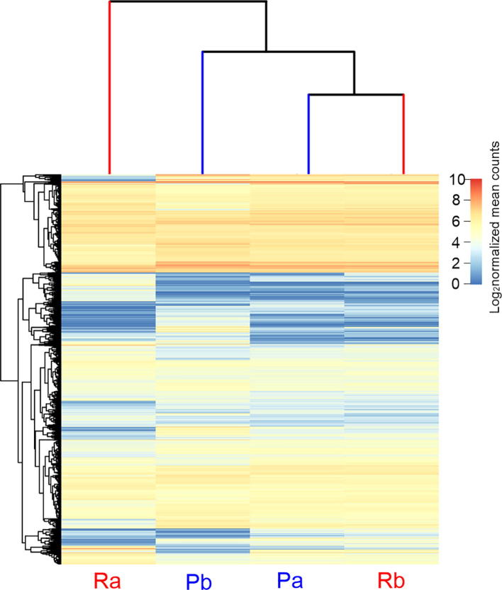 Supplementary Figure S8