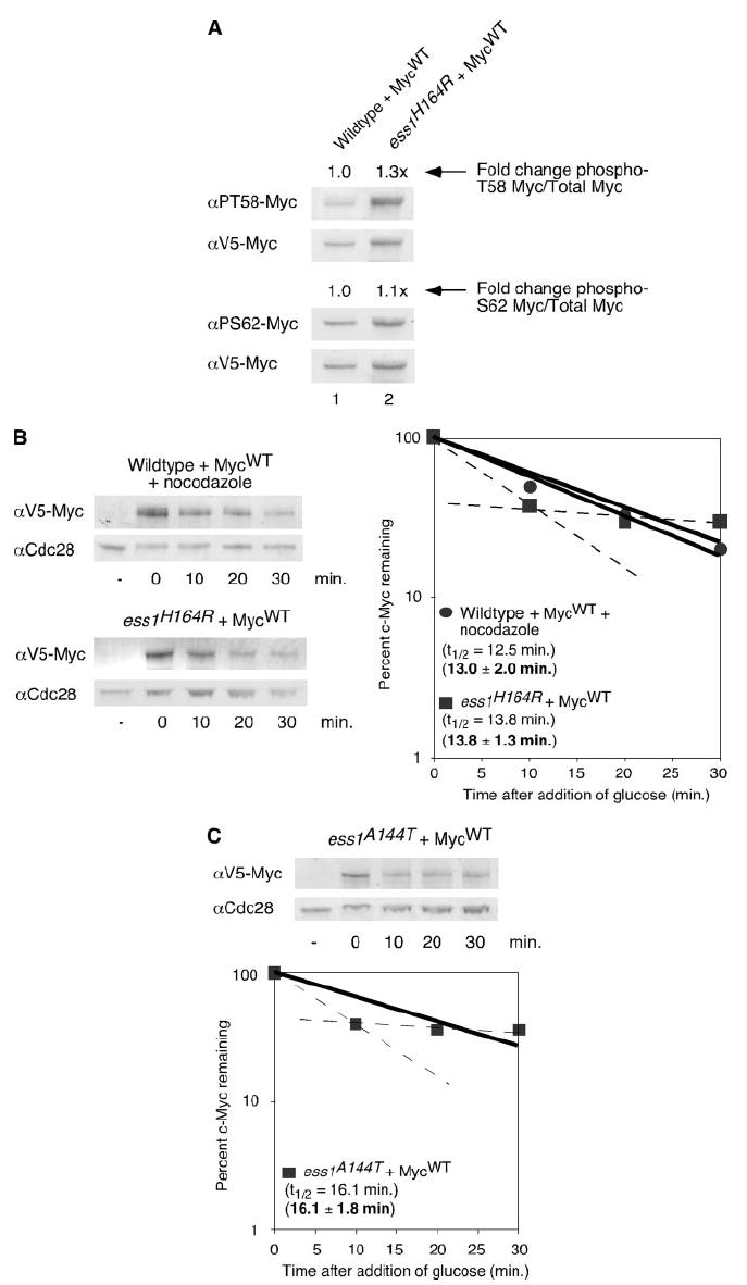 FIGURE 3