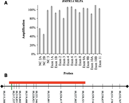 Figure 1.