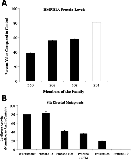 Figure 6.