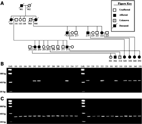 Figure 2.