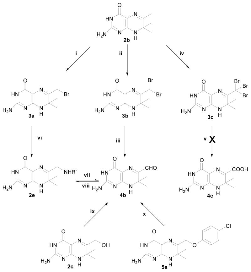 Scheme 2