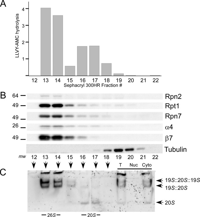 FIGURE 7.