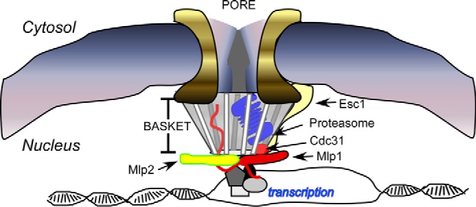 FIGURE 9.