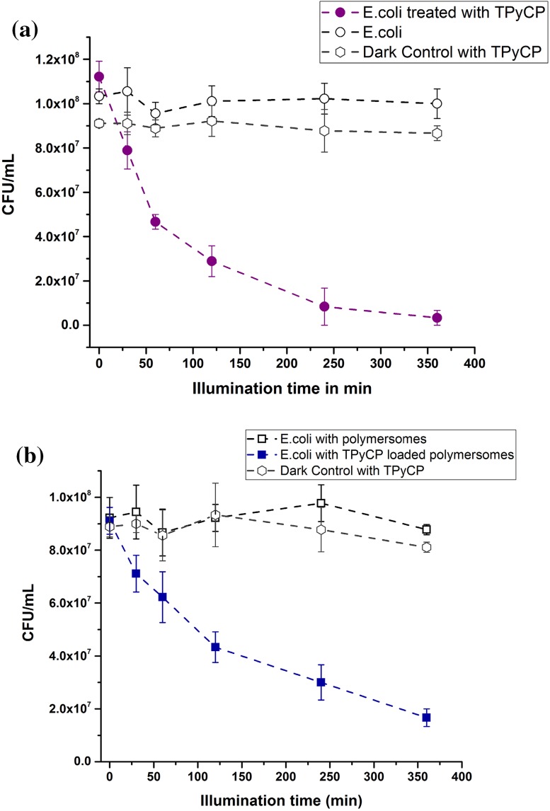 Fig. 8