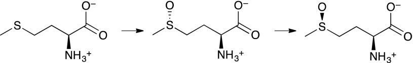 Scheme 3