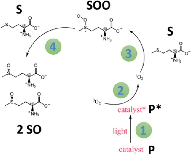 Scheme 4