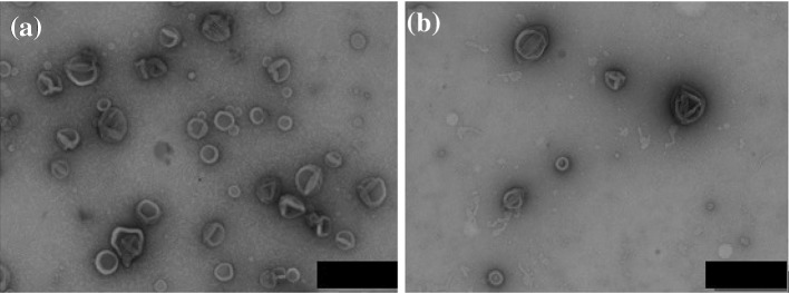 Fig. 5