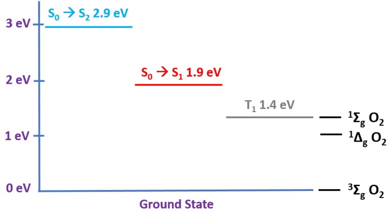 Fig. 2