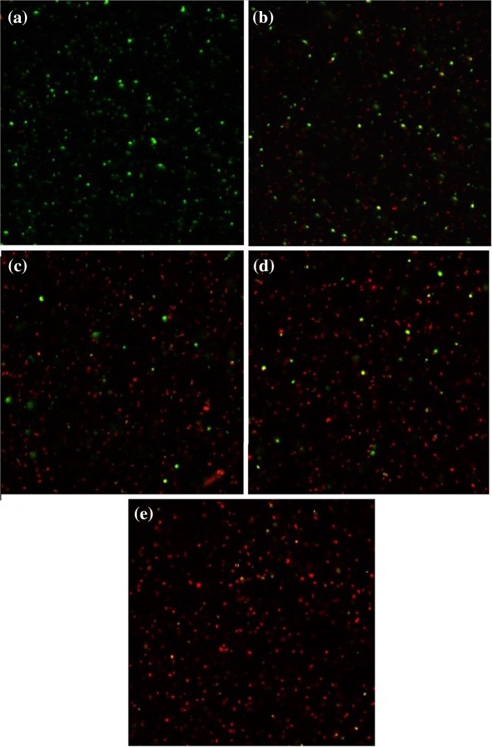 Fig. 10