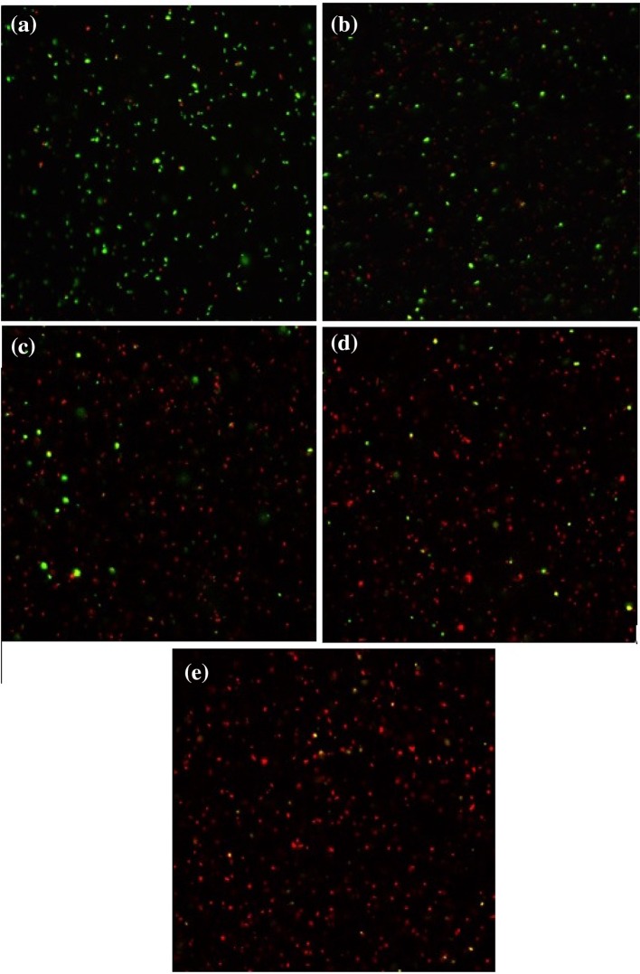 Fig. 9