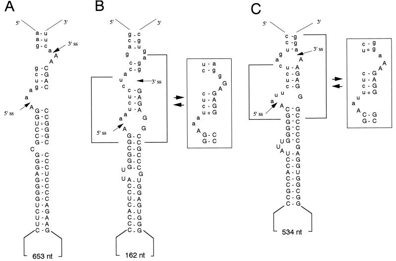 FIG. 6