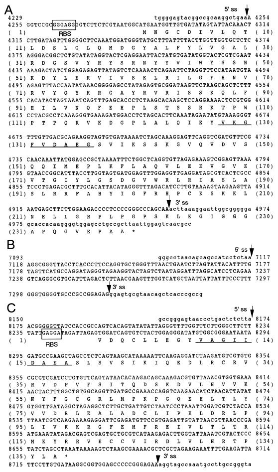 FIG. 7