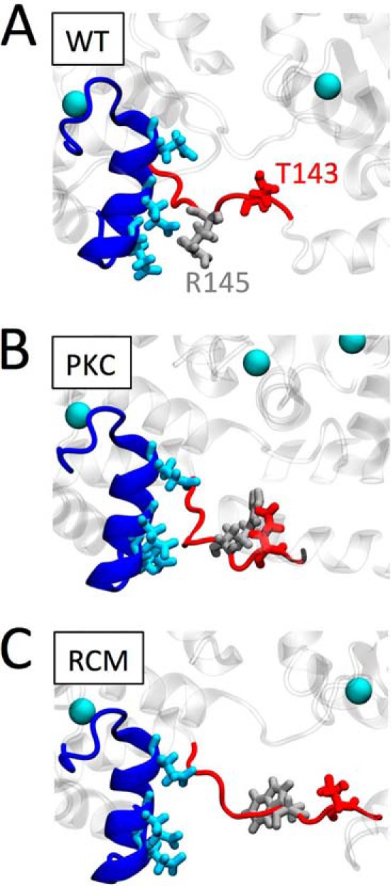 FIGURE 7.