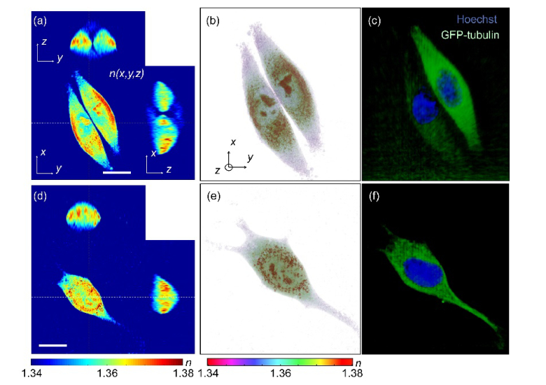 Fig. 4