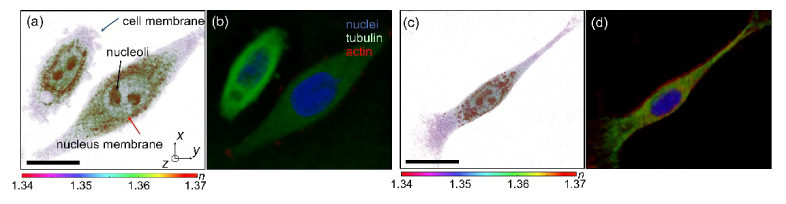 Fig. 3